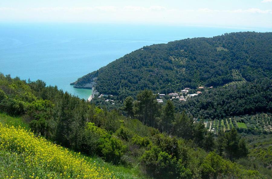Villa Zagare Mattinata Exterior photo
